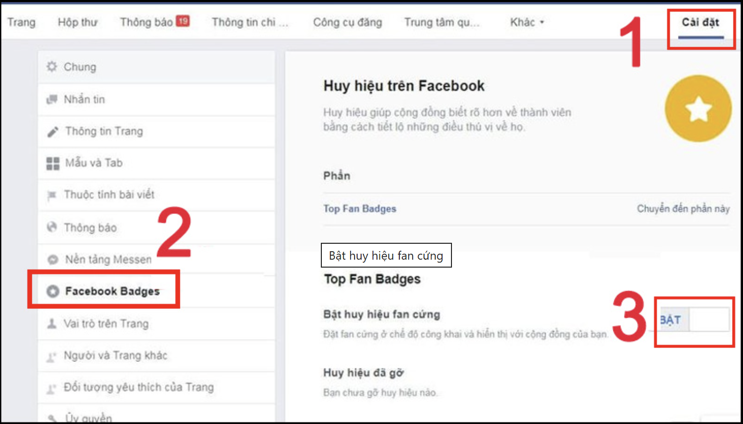 bật huy hiệu Fan cứng